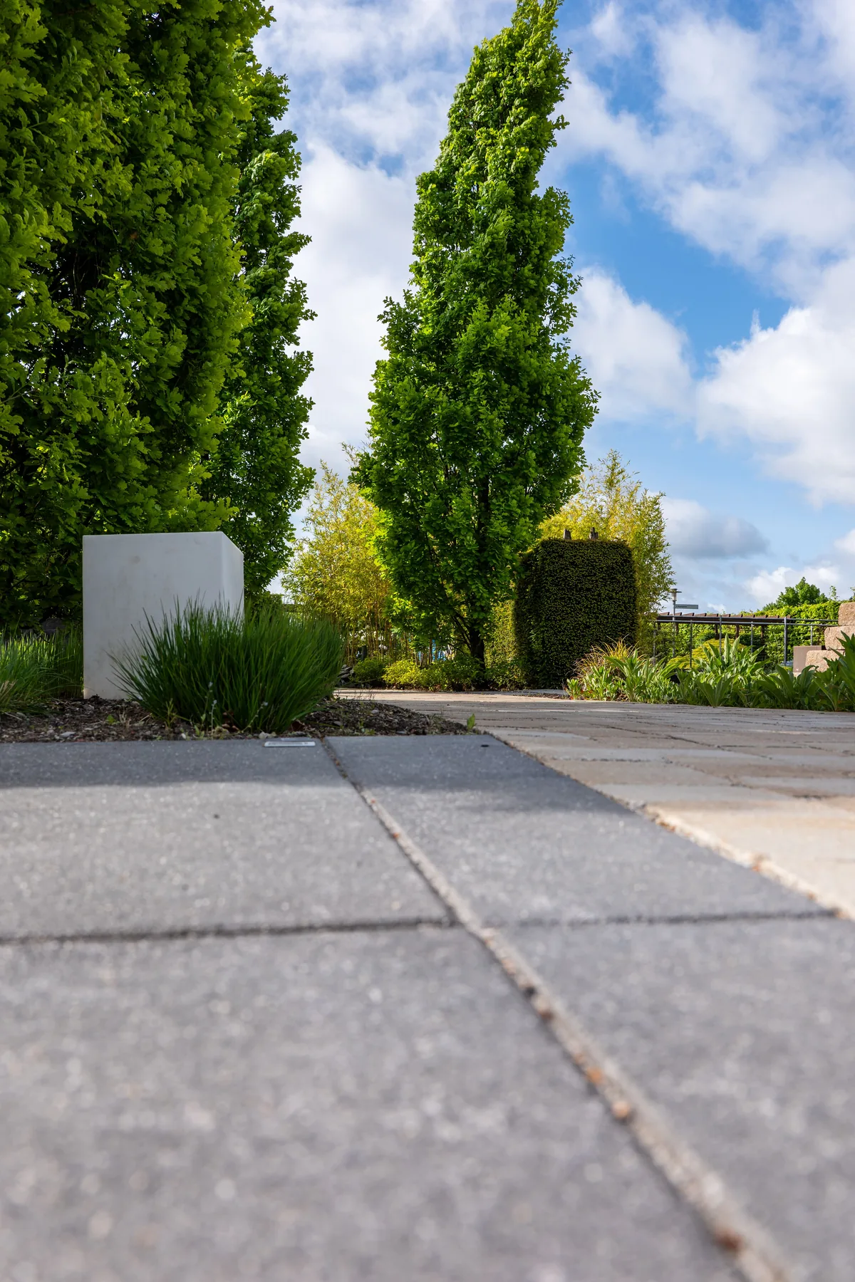 Chemin et jardin paysager