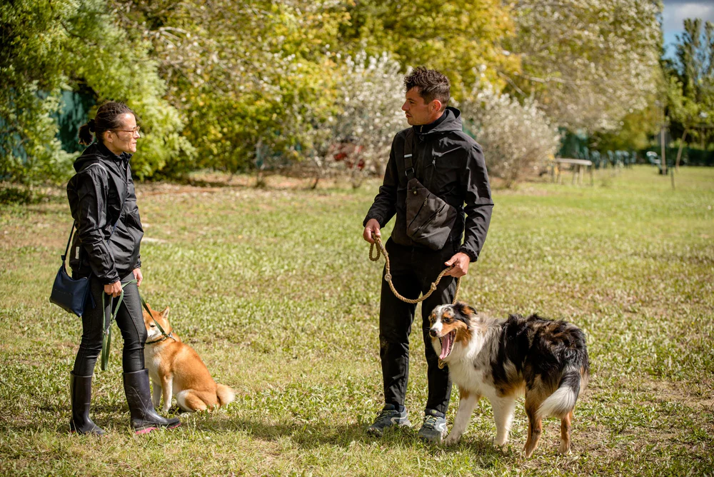 Un éducateur observe un chien et son humaine pendant une séance en extérieur